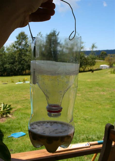 To assemble your homemade fly trap, remove the cap, flip the top of the bottle upside down, and slide it into the bottom part to form a funnel. You can glue it or tape it, but it usually snuggles there on its own. Baiting and Placing the Fly Trap. Before baiting your DIY fly trap indoors, fill the bottom of the bottle with a couple of inches of ...